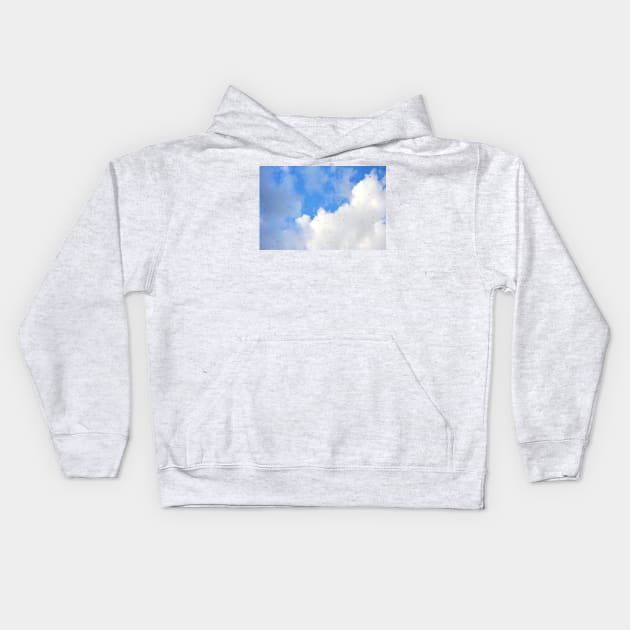 Swallows wheeling among the clouds Kids Hoodie by LaurieMinor